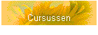 Cursussen